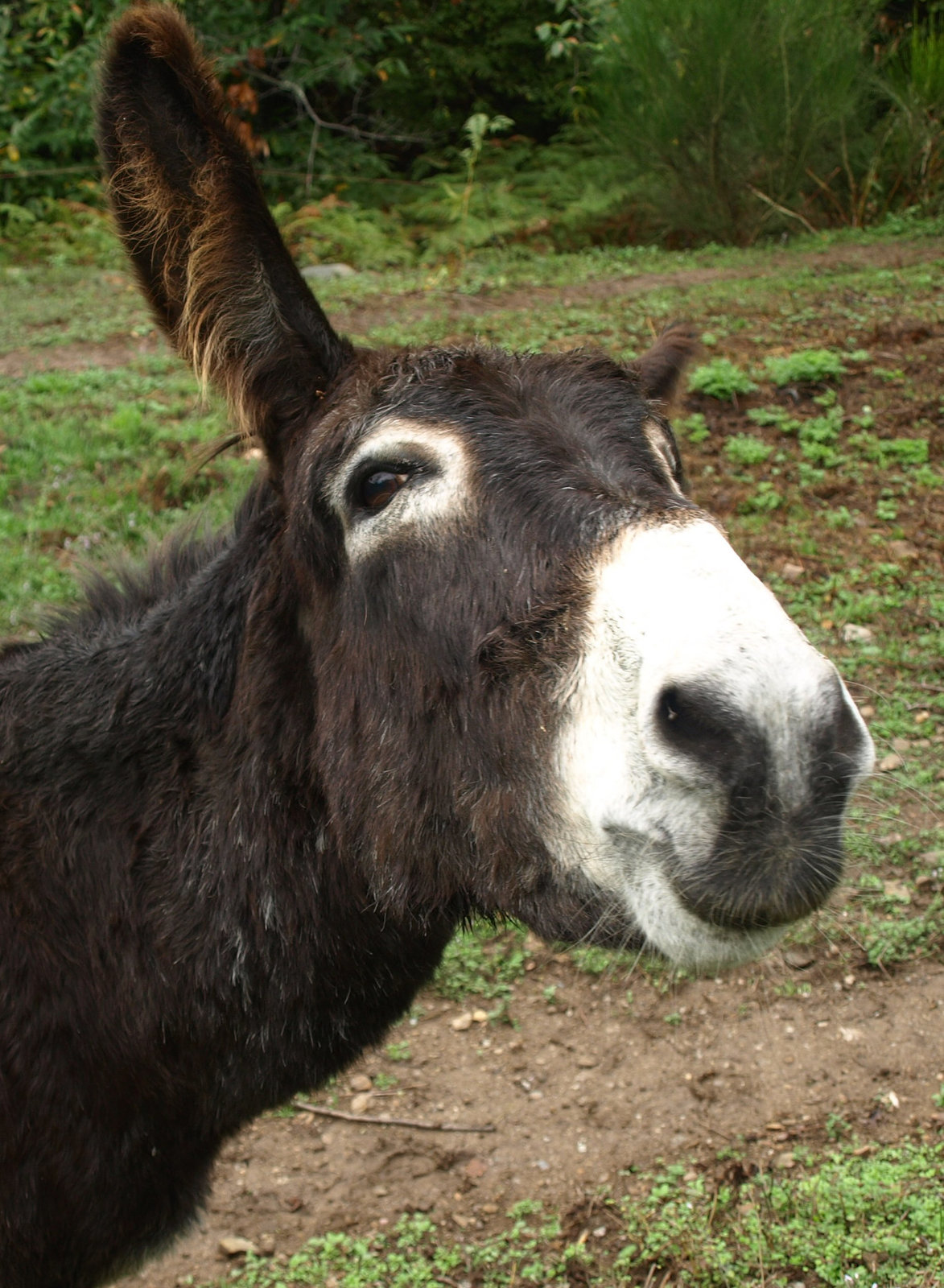 Avatar de l’utilisateur